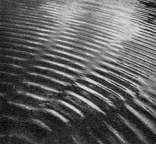 Interferenz bei Wasserwellen